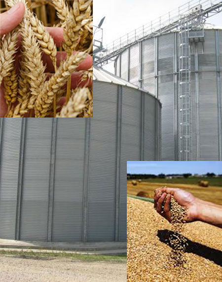 otkup i skladištenje polljoprivrednih proizvoda agro iličić doo