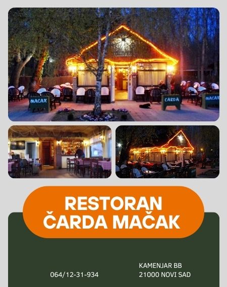 riblji specijaliteti novi sad