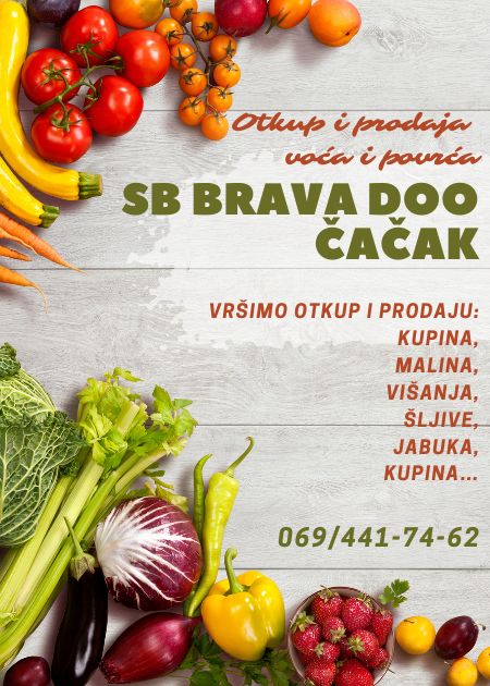 SB Brava DOO Čačak 