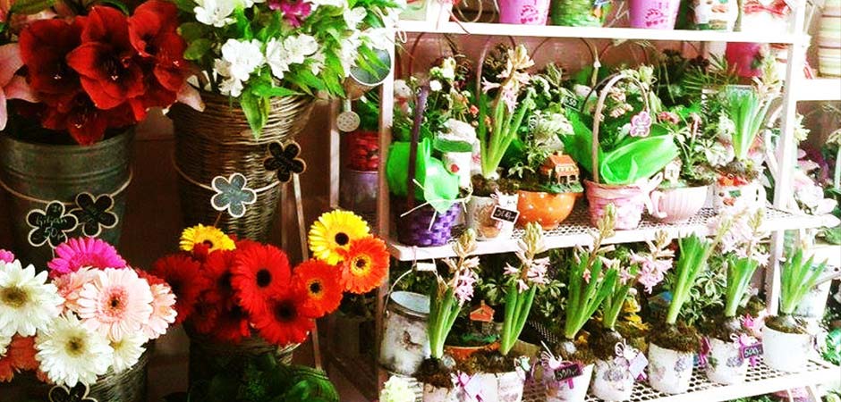 Flower-cvećara