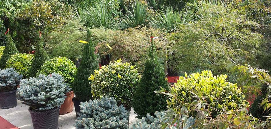 LEDEX-GARDEN-IDEALE-DOO