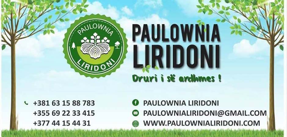 UZGOJ-UKRASNOG-DRVEĆA-I-ŽBUNJA-PAULOWNIJA-LIRIDONI-BUKAREVAC