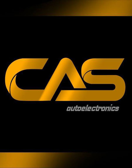 aut elektrika i elektronika cas system