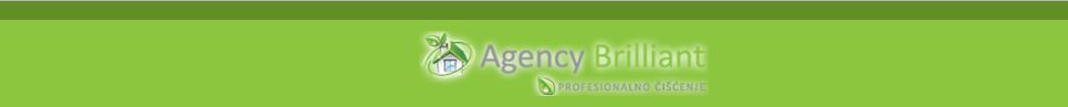 profesionalno čišćenje agency brilliant beograd