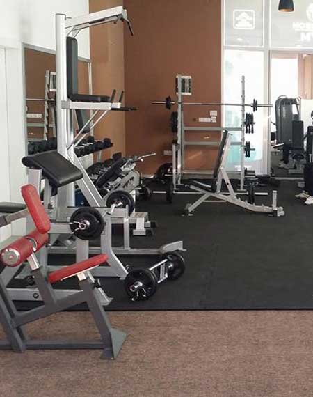 morrison gym novi pazar