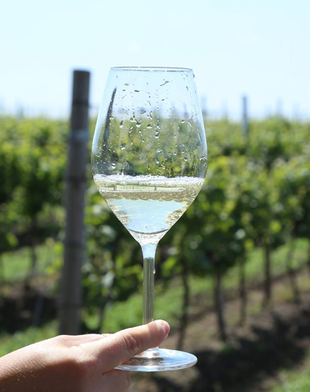 vinarija galot banatski karlovac
