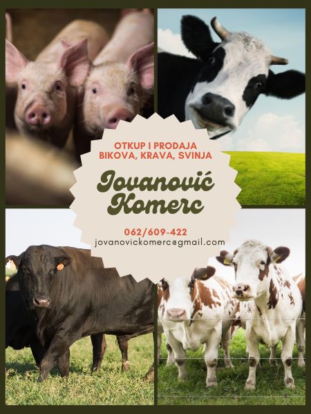 Jovanović Komerc Temerin 